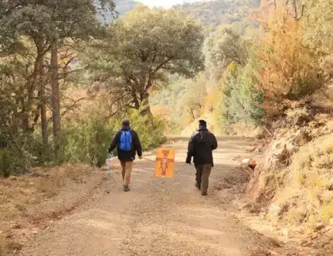 ii miercoles de adviento 2025