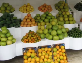 ii viernes de adviento 2025