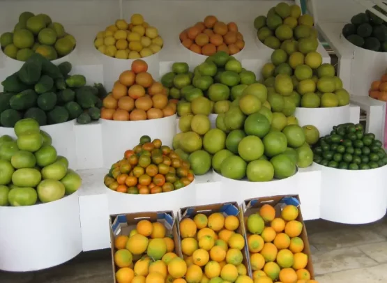 ii viernes de adviento 2025