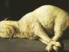 dia 18 de enero ii domingo del tiempo ordinario 2026