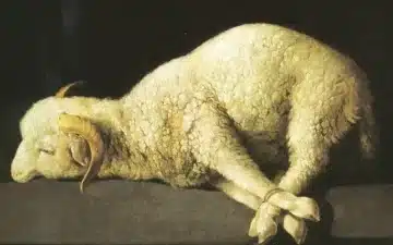 dia 18 de enero ii domingo del tiempo ordinario 2026