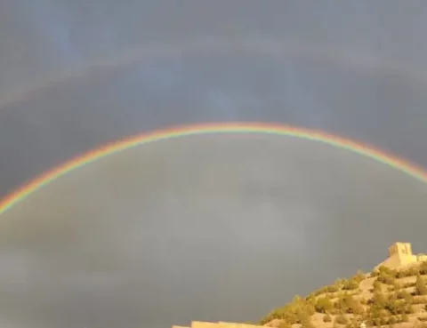 ii domingo despues de navidad 2026