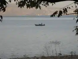 iii domingo del tiempo ordinario 2026