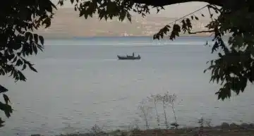 iii domingo del tiempo ordinario 2026