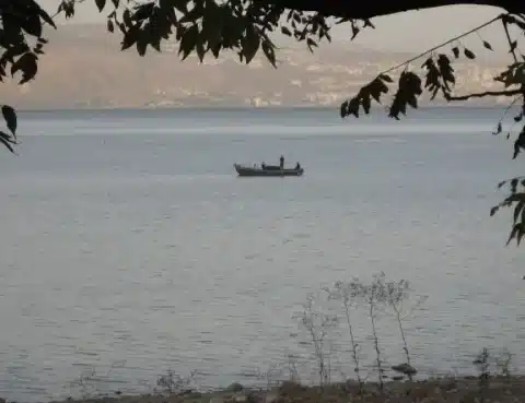 iii domingo del tiempo ordinario 2026