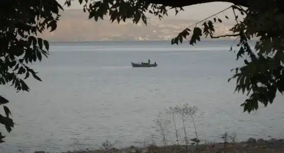 iii domingo del tiempo ordinario 2026