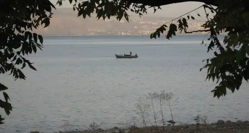 iii domingo del tiempo ordinario 2026