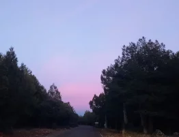 miercoles de la i semana del t ordinario 2026