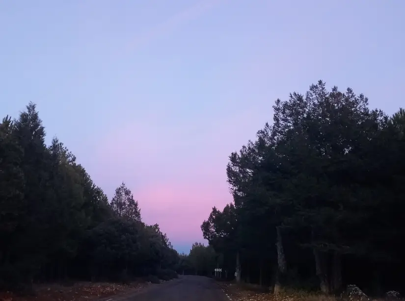 miercoles de la i semana del t ordinario 2026