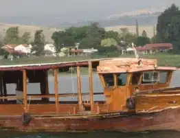 tiempo de navidad 2026 3