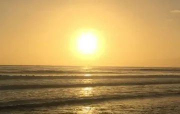 v domingo del tiempo ordinario 2026