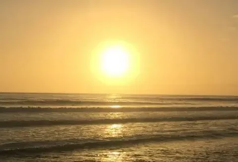 v domingo del tiempo ordinario 2026