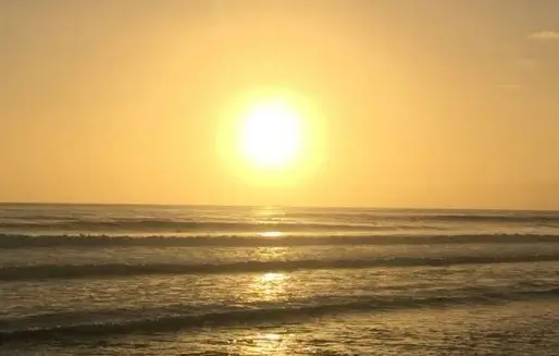 v domingo del tiempo ordinario 2026