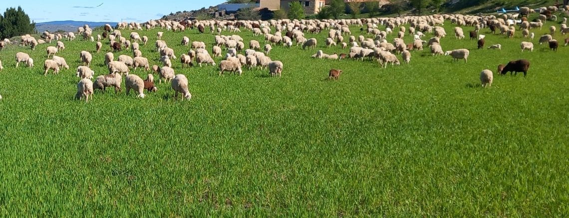 IV Lunes Pascua 2026