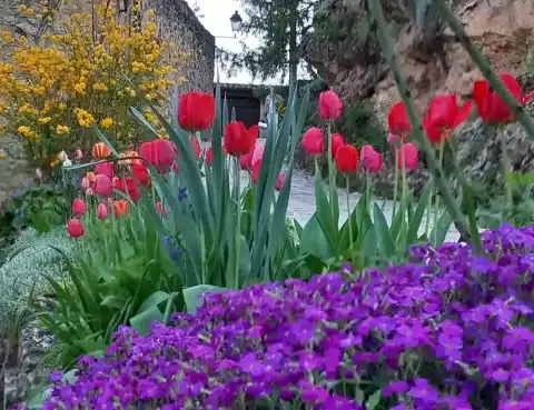 v sabado de pascua 2026