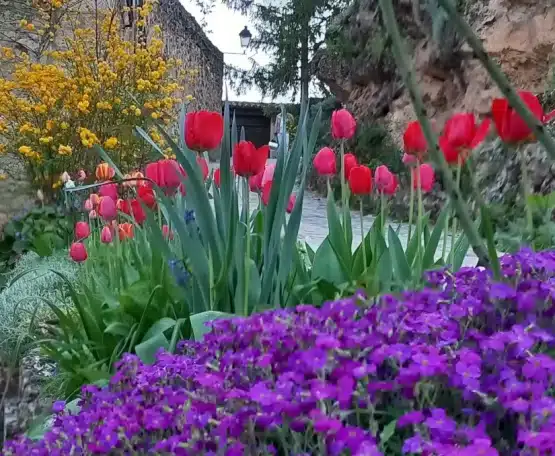 v sabado de pascua 2026