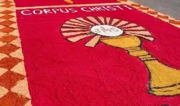 xi domingo del tiempo ordinario 2026
