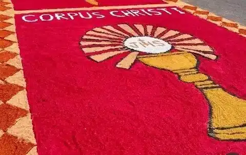 xi domingo del tiempo ordinario 2026