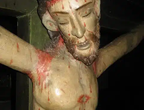 exaltacion de la santa cruz 2026